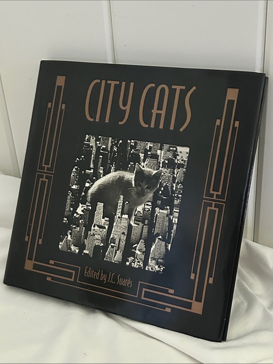 Other - City Cats 90s Hardcover Photo Book Jean-Claude Suarès Italy vintage cat pictures